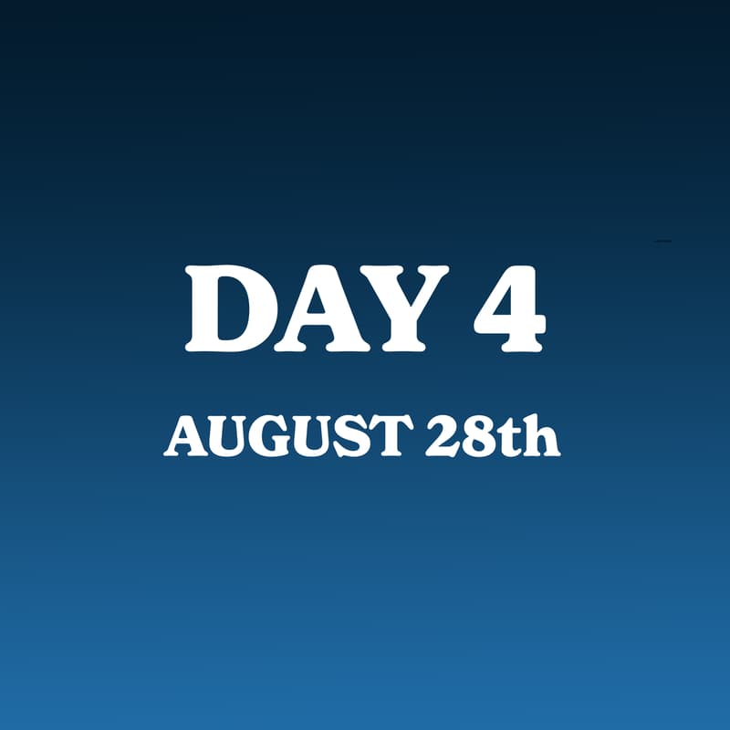 Cover Image for SMW - Day 4