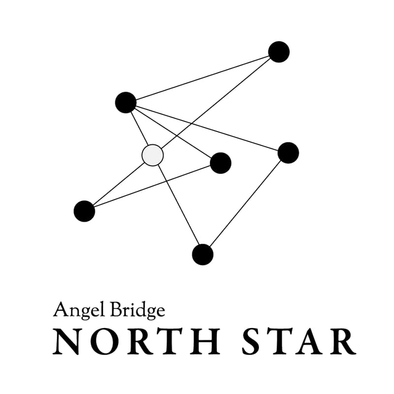 Cover Image for Angel Bridge North Star説明会