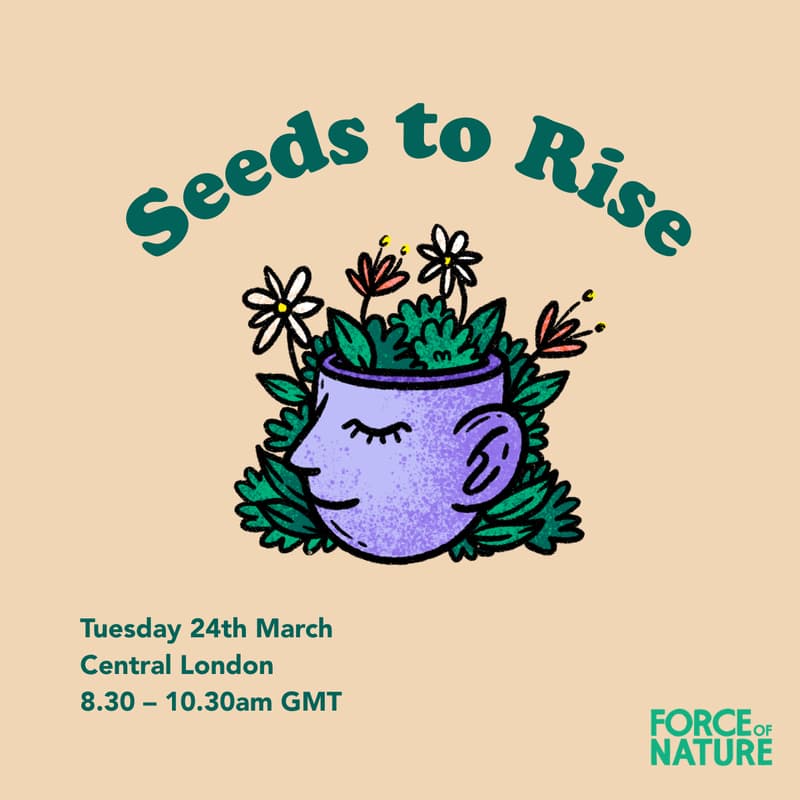 Cover Image for Seeds to Rise