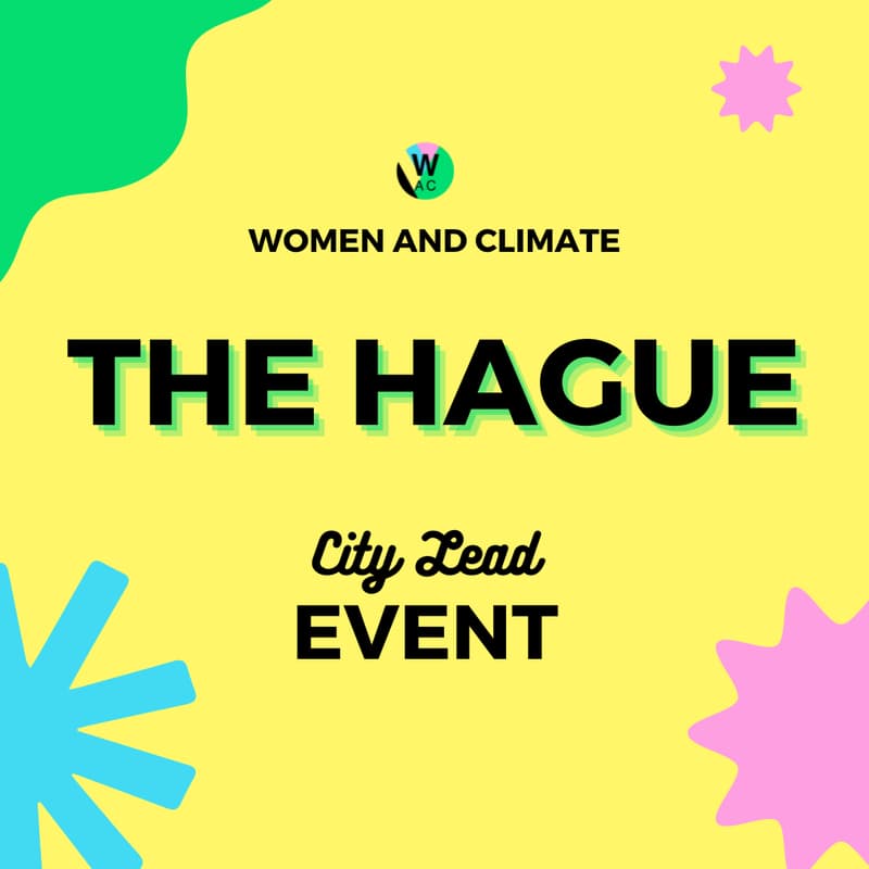 Cover Image for ✨💛 The Hague Climate Drinks | November