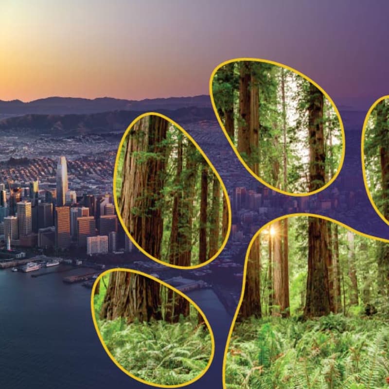 Cover Image for Free Happy Hour + Panel: Building the Next Wave of Innovative Climate Solutions, From Forests to Materials