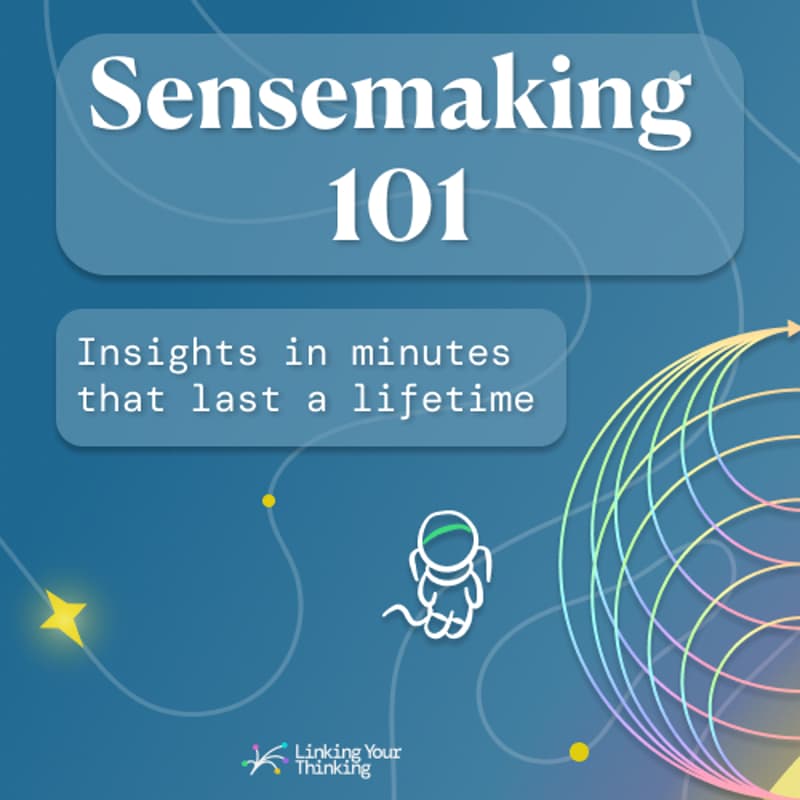 Cover Image for Sensemaking 101