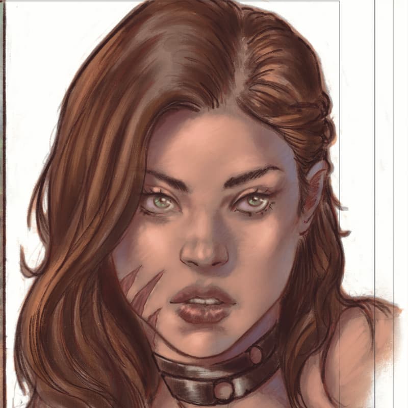 Cover Image for Sold to the Berserkers comic adaptation talk