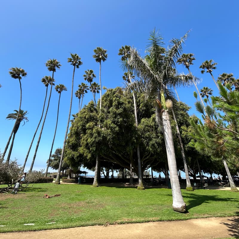 Cover Image for Tech Picnic in the Park