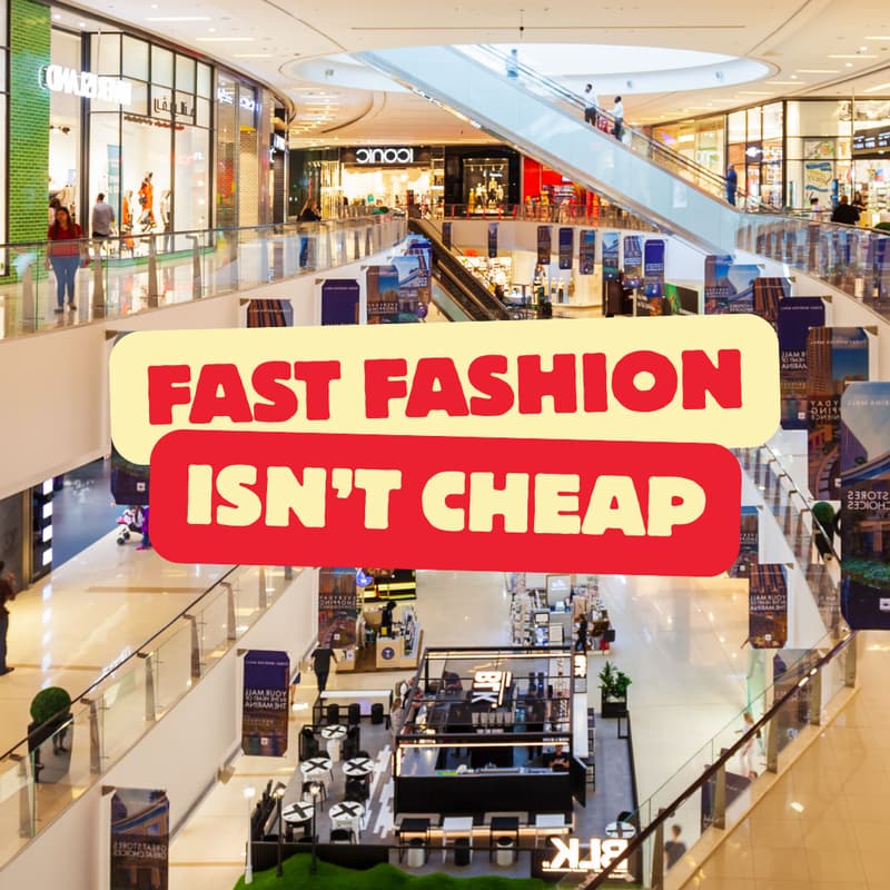 Cover Image for Sustainably Savvy: How Living Sustainably Can Actually Save You Money 💸🌱