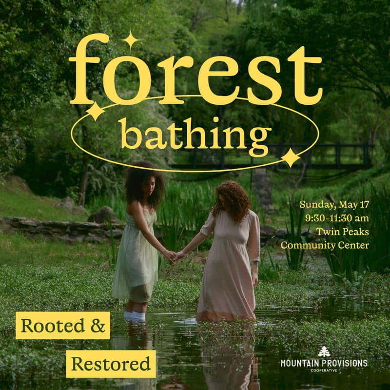 Cover Image for Forest Bathing: Rooted & Restored