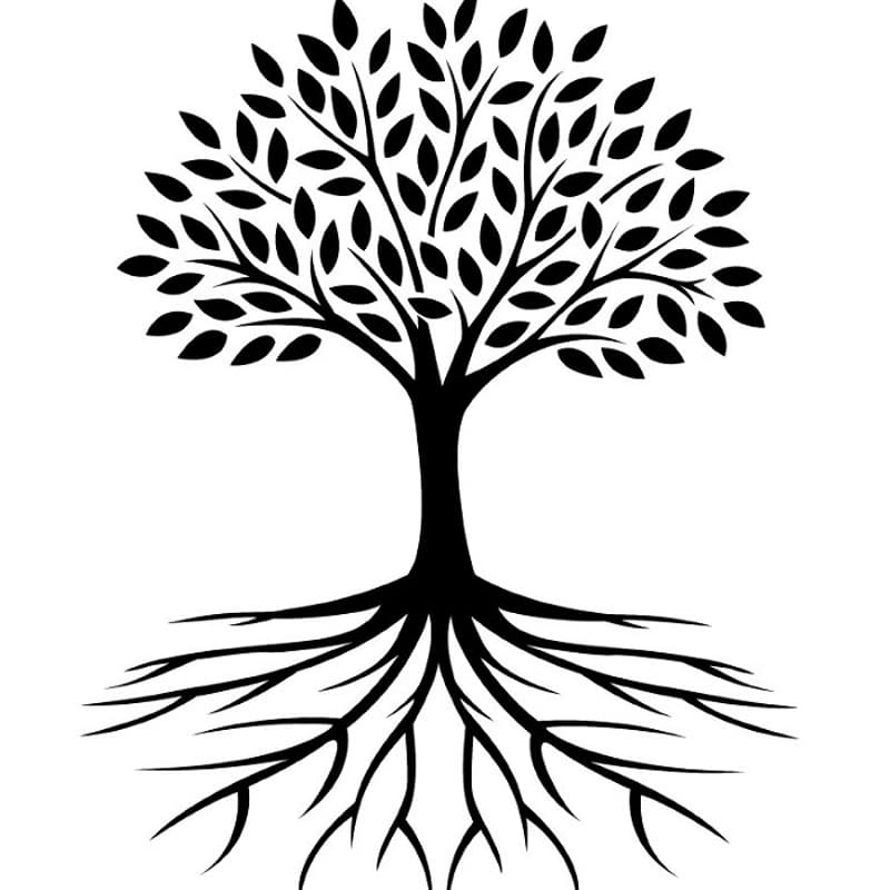 Cover Image for Green Burial Ground Tour and Open House