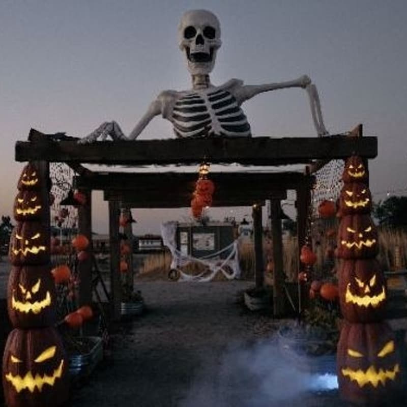 Cover Image for Haunted History Railbike Adventure