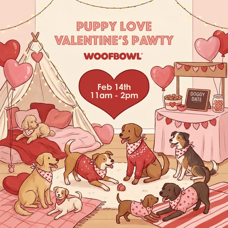 Cover Image for Puppy Love Valentine's Pawty