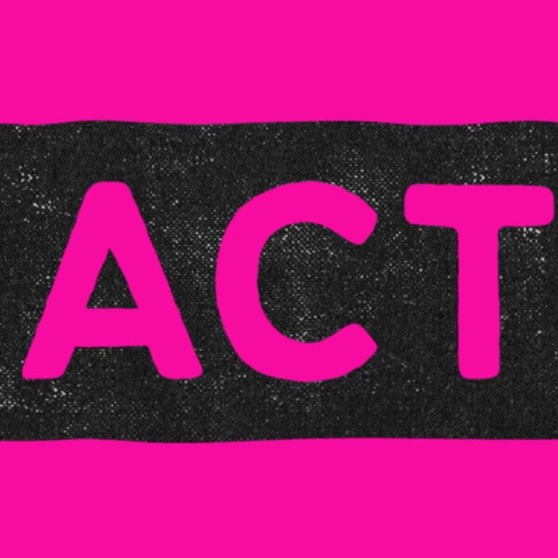 Cover Image for ACTionism Summer Connect - online meet