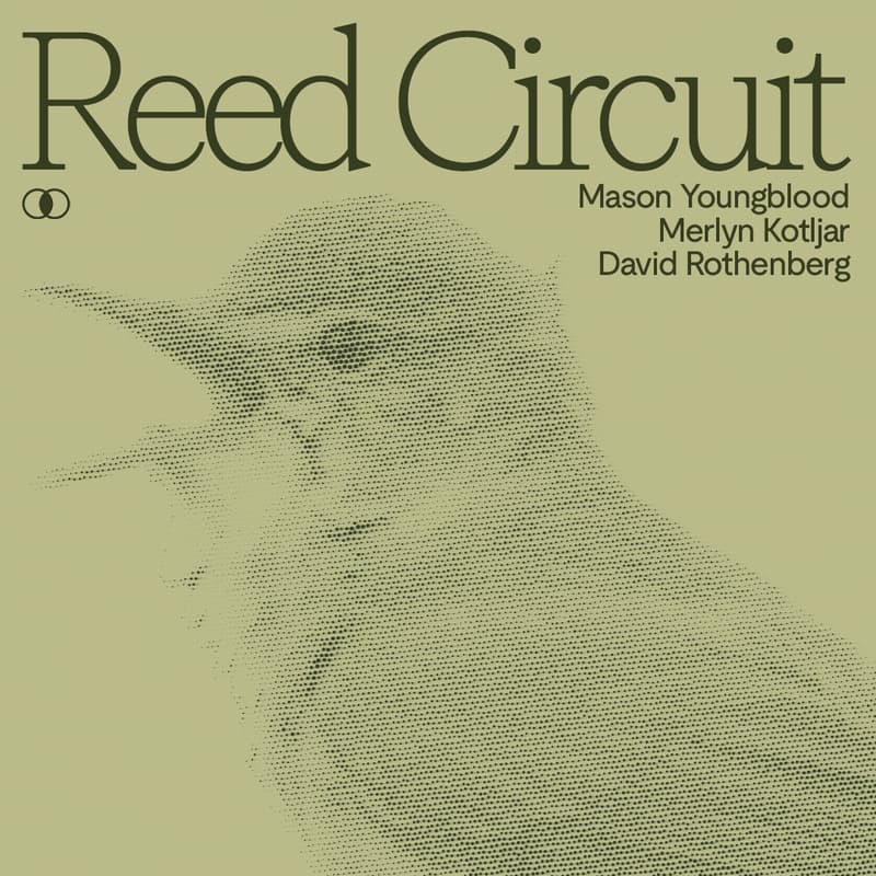 Cover Image for Reed Circuit