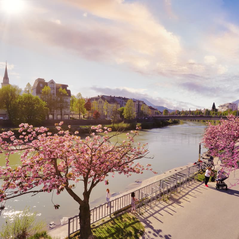 Cover Image for Stammtisch im April