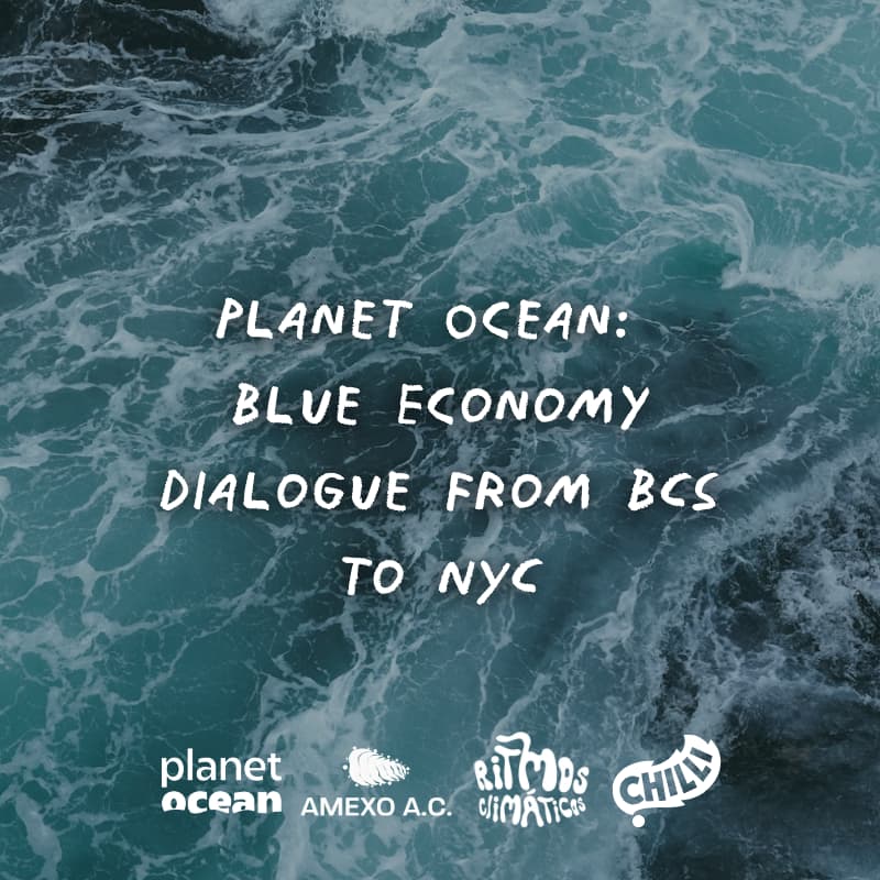 Cover Image for Planet Ocean: Blue Economy Dialogue from BCS to NYC