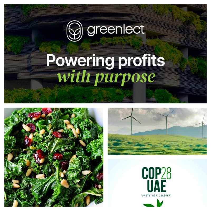 Cover Image for GREENLECT Dinner Reception Celebrating COP28