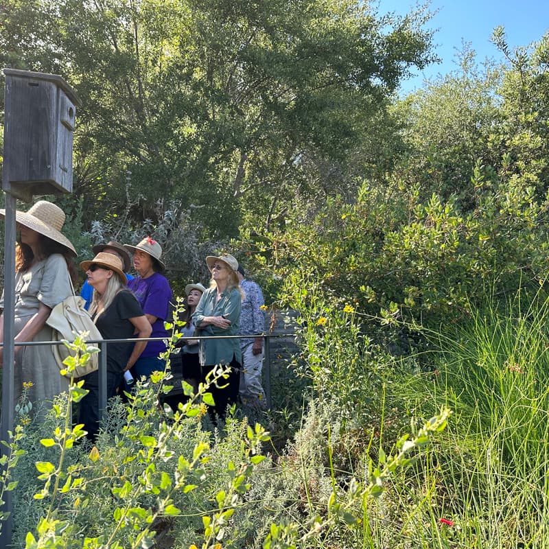 Cover Image for A Private Tour of Gottlieb Native Garden in Coldwater Canyon for Our PNLC Group