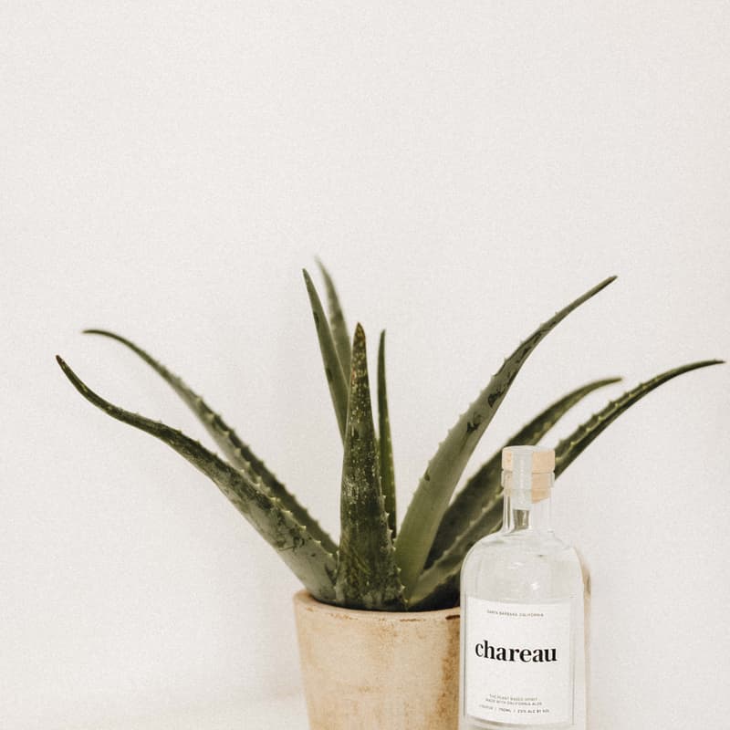 Cover Image for Chareau Workshop