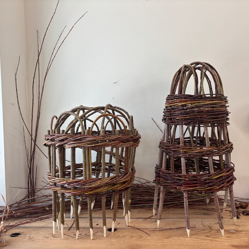 Cover Image for Weaving a Willow Cloche