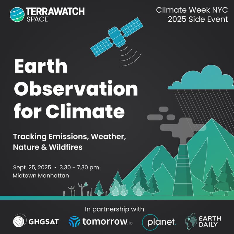 Cover Image for Earth Observation for Climate