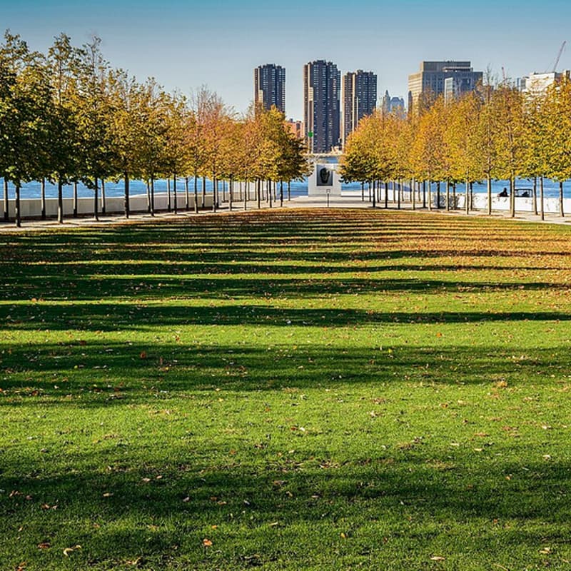 Cover Image for Roosevelt Island Picnic