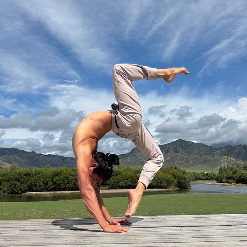 Cover Image for Stay In Handstand