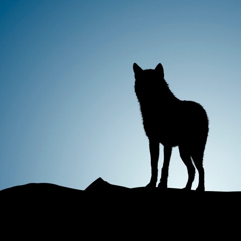 Cover Image for Magic Animals: Writing Session 1