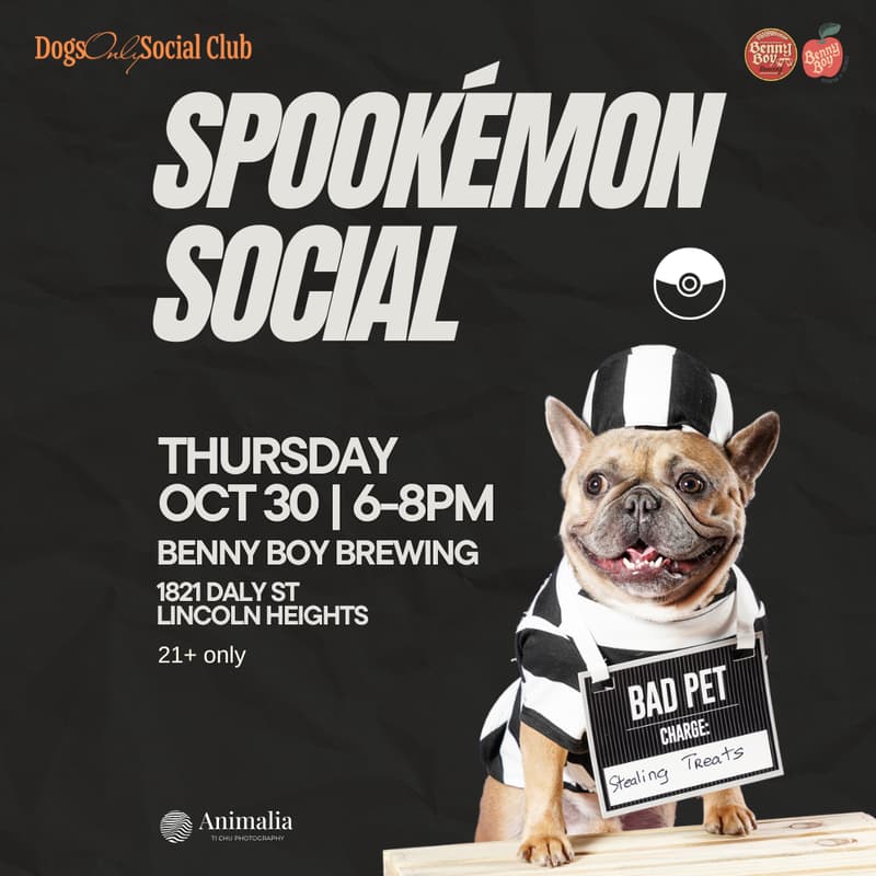 Cover Image for Spookémon Social