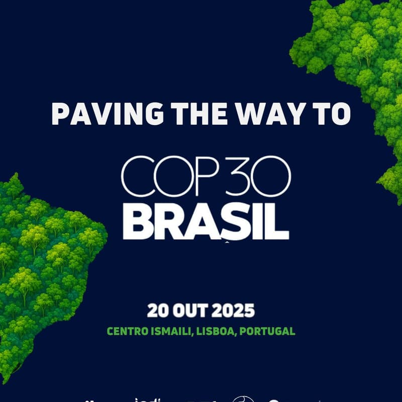 Cover Image for Paving the Way to COP30