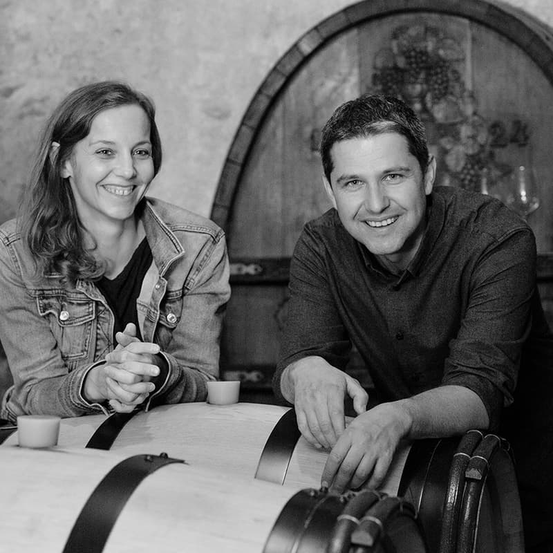 Cover Image for Winery Visit with Pfister Weine