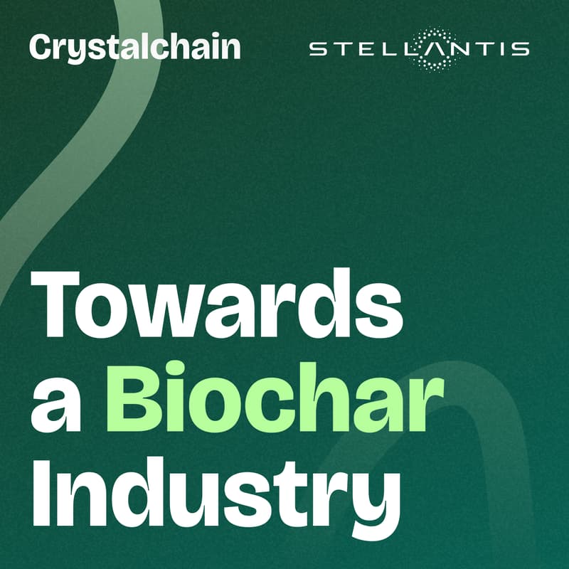 Cover Image for Towards a Biochar Industry