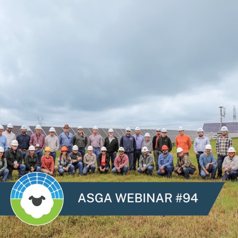 Cover Image for ASGA Call 94: 2026 Guide to ASGA’s Certification for Solar Graziers & Overview of Training Standards