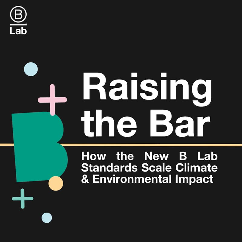 Cover Image for Raising the Bar: How the New B Lab Standards Scale Climate & Environmental Impact
