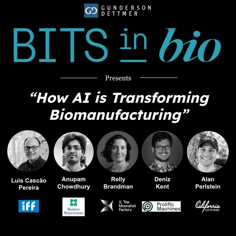 Cover Image for How AI is Transforming Biomanufacturing