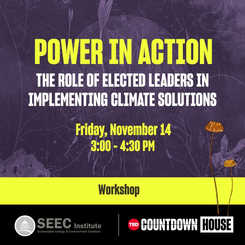 Cover Image for Power in action: The role of elected leaders in implementing climate solutions