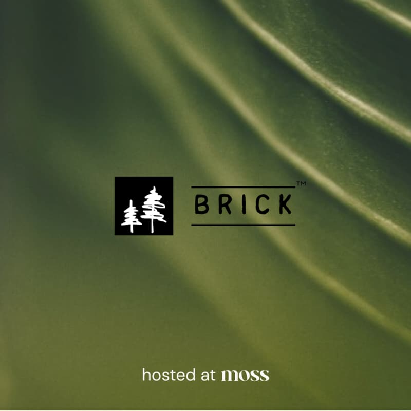 Cover Image for conscious co-working session w/ Tommy Sobel (ft. binaural jazz)