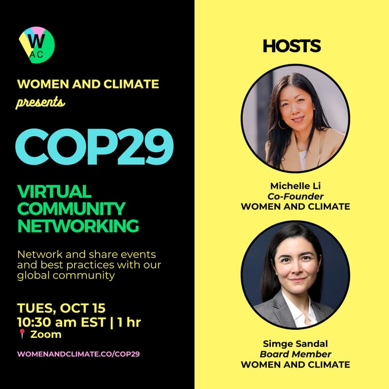 Cover Image for COP29 Virtual Networking