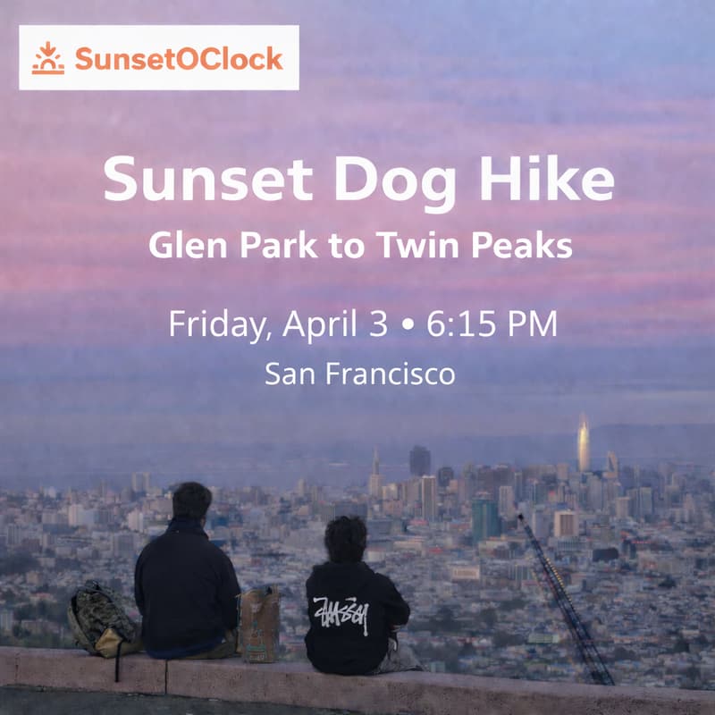 Cover Image for Sunset Dog Hike & City Views 🐶🌅