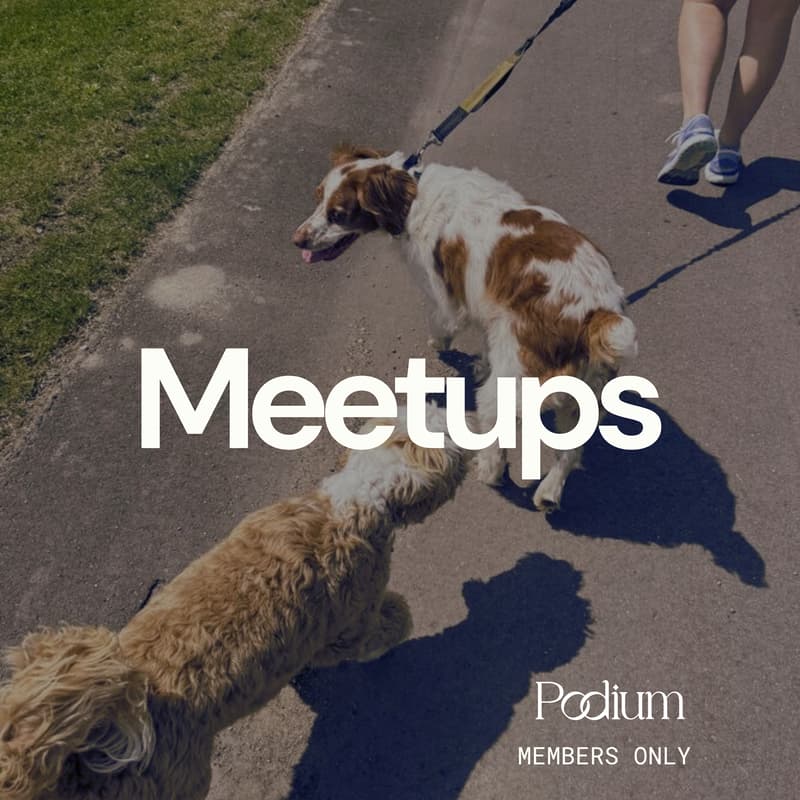 Cover Image for Meetup :  Dog Mums' Walk In Botanic Gardens