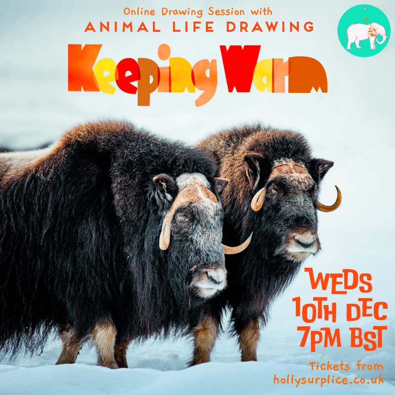 Cover Image for Keeping Warm Drawing Session