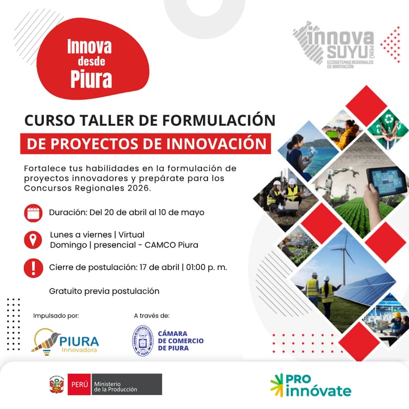 Cover Image for CURSO-TALLER: FORMULACIÓN DE PROYECTOS DE INNOVACIÓN