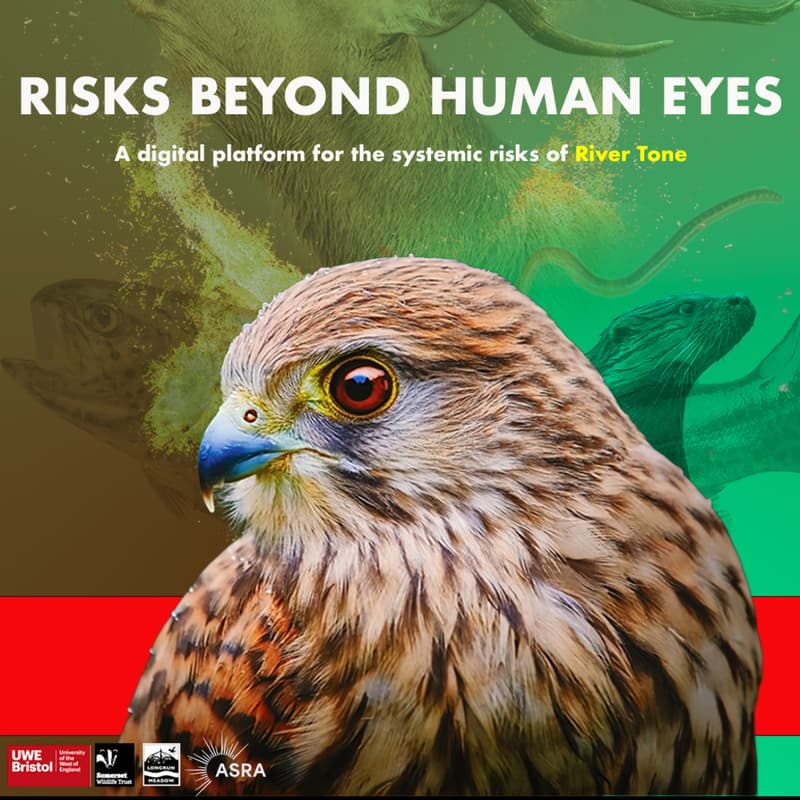 Cover Image for River Tone Risks Beyond Human Eyes: Planning Human-Animal Collective Action