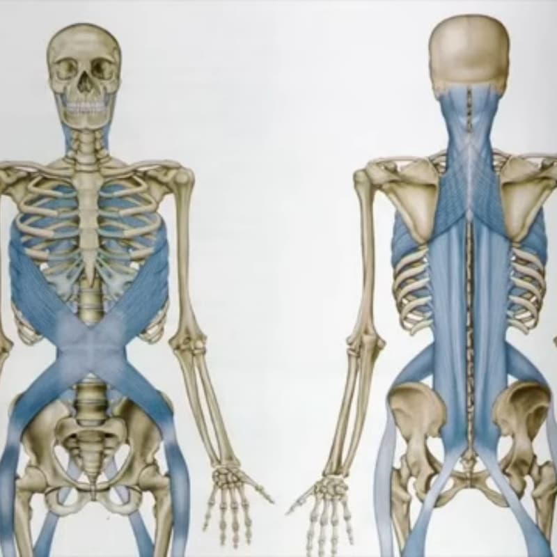 Cover Image for The Stretch Hack (Fascia Maneuver)