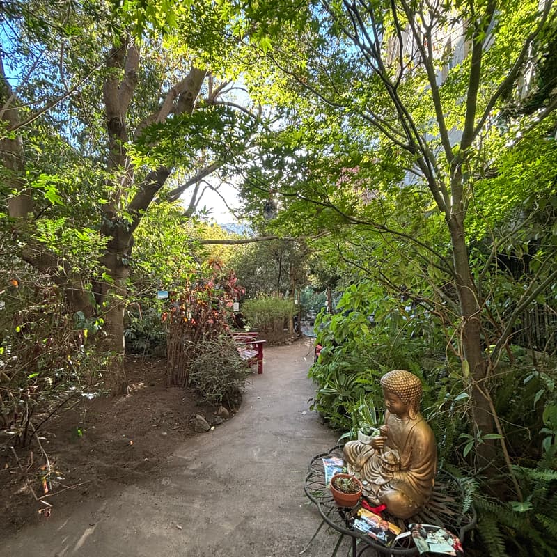 Cover Image for Tech Inspired Yoga In Award Winning SF Garden