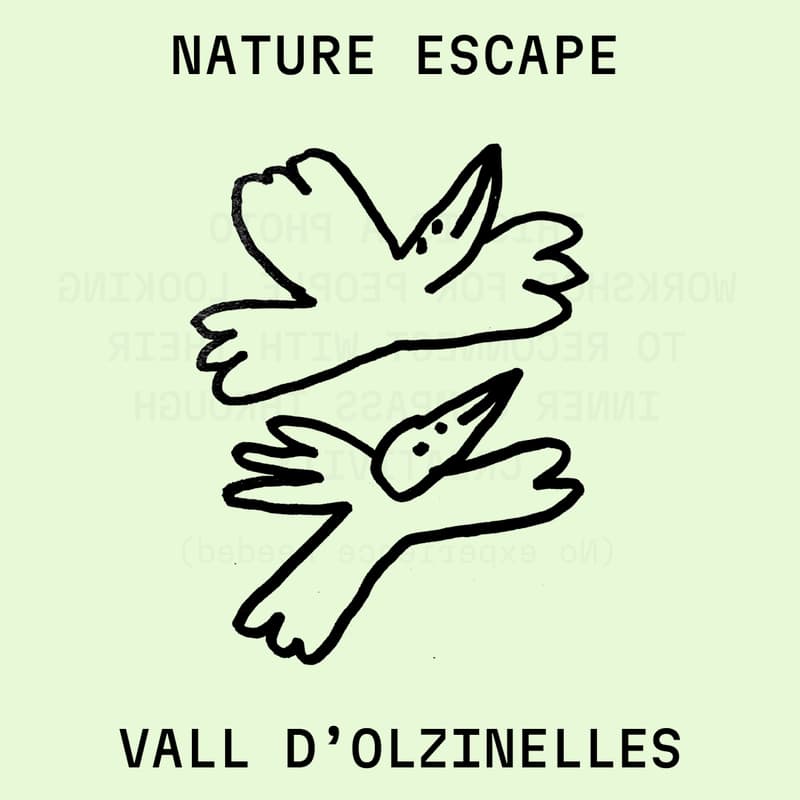 Cover Image for Nature Escape: Forest Morning in La Vall d’Olzinelles | Sat Aug 30