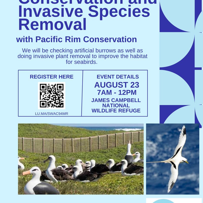 Cover Image for Seabird Conservation with Pacific Rim Conservation
