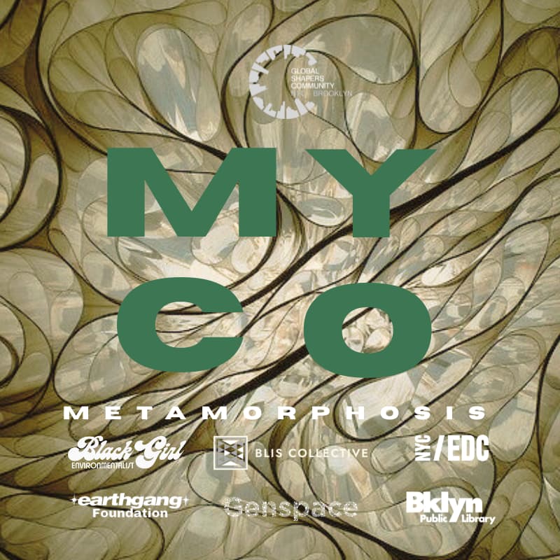 Cover Image for MYCO:Metamorphosis