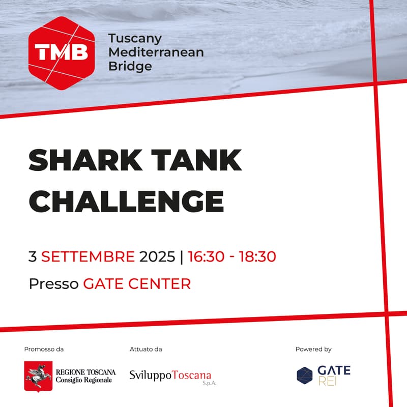 Cover Image for Tuscany Mediterranean Bridge - Pisa 2025 | Shark Tank Challenge