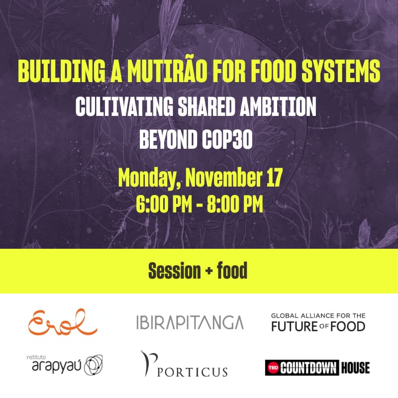 Cover Image for Building a Mutirão for food systems: Cultivating shared ambition beyond COP30