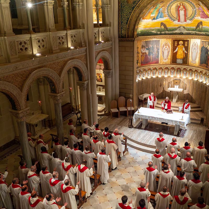 Cover Image for My experience at the Meeting of Major Superiors