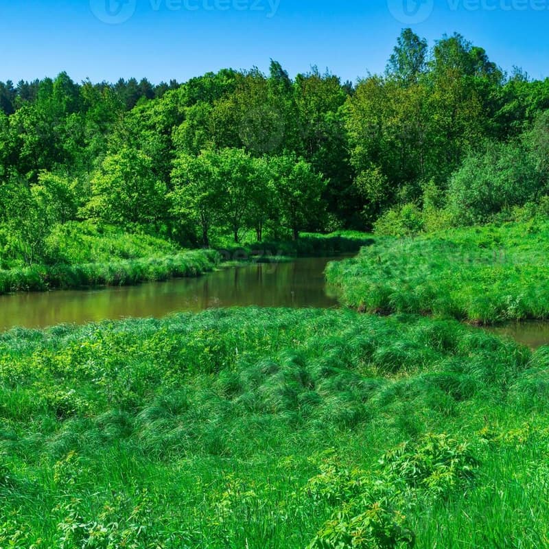 Cover Image for Investing in Nature: Legal and Financial Frontiers in Natural Capital and Nature-Based Solutions