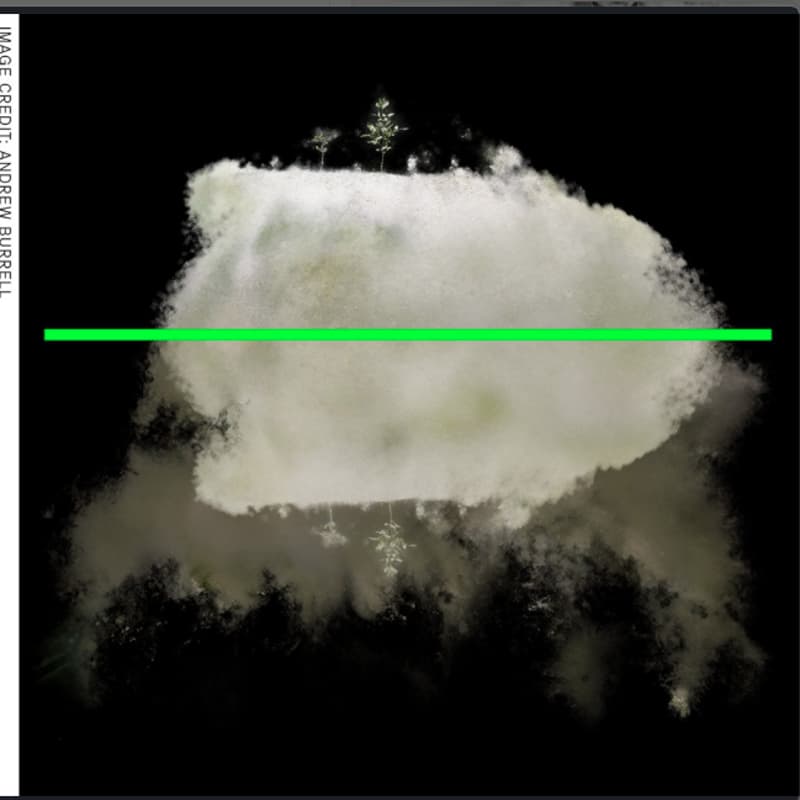 Cover Image for Multispecies Salon